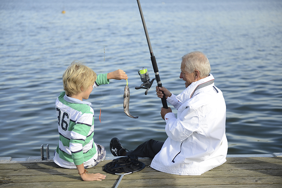 Medicare Supplement